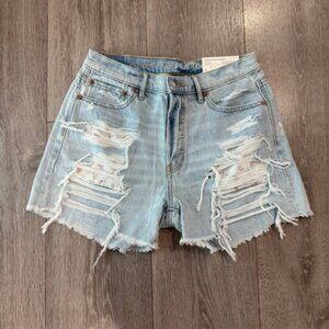 American Eagle 90's Boyfriend NWT! Size 4 (27W)